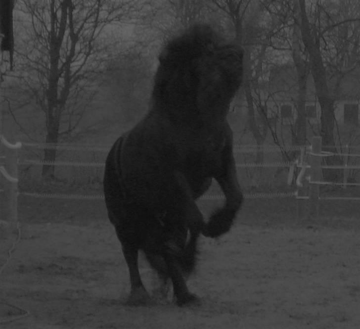 Frieser Wander ***SOLGT*** - Bare såå smuk... billede 1