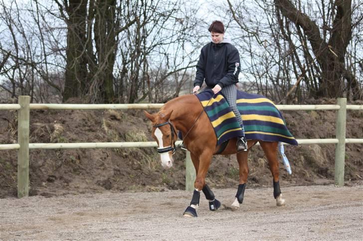 Anden særlig race Kosak *Pony* - Pony og jeg hjemme på banen. billede 17
