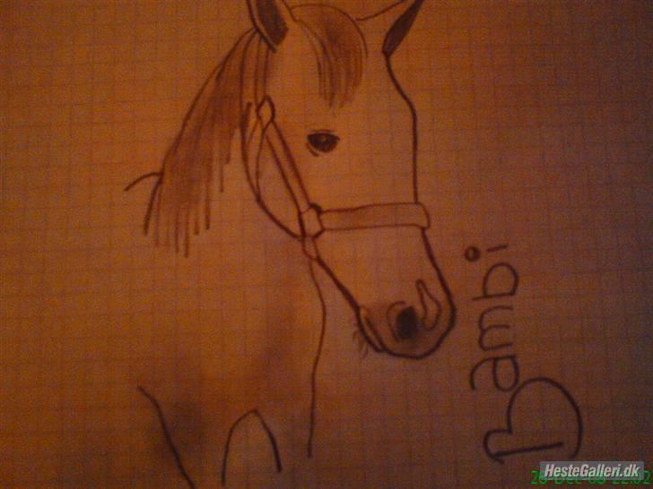 Anden særlig race Bambi - Bambi der er blevet tegnet af hjorten´L )  kan kun anbefales!!!!!!!!!! billede 15