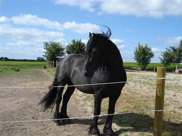 Frieser Wander ***SOLGT*** - Smukke Wander i jordfold billede 3