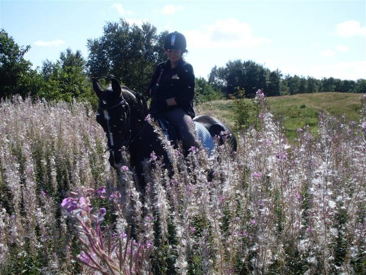 Anden særlig race DONNA - BABY <3 REDET - smukke hyp!!! billede 6