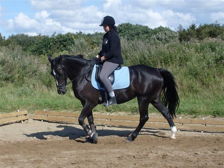 Anden særlig race DONNA - BABY <3 REDET - jeg elsker dig donna billede 7