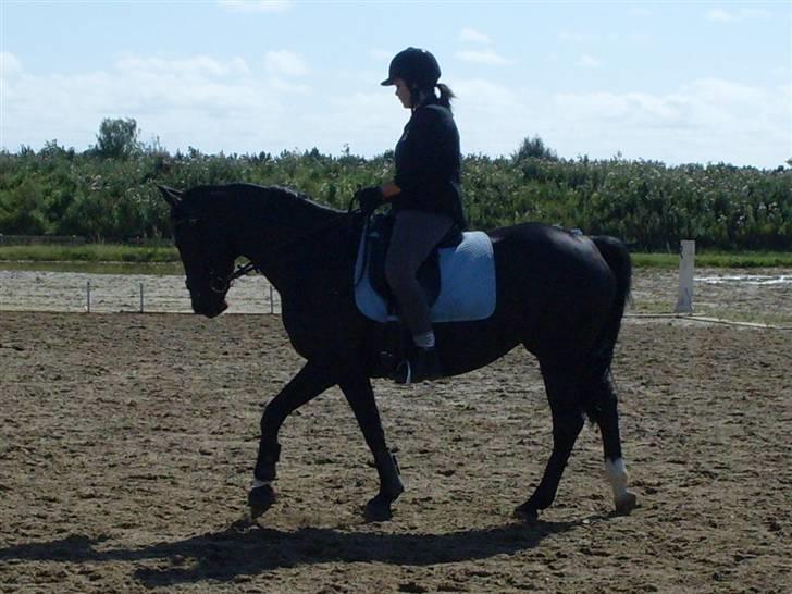 Anden særlig race DONNA - BABY <3 REDET - du min hyppe billede 8