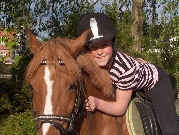 Anden særlig race Apollo billede 14