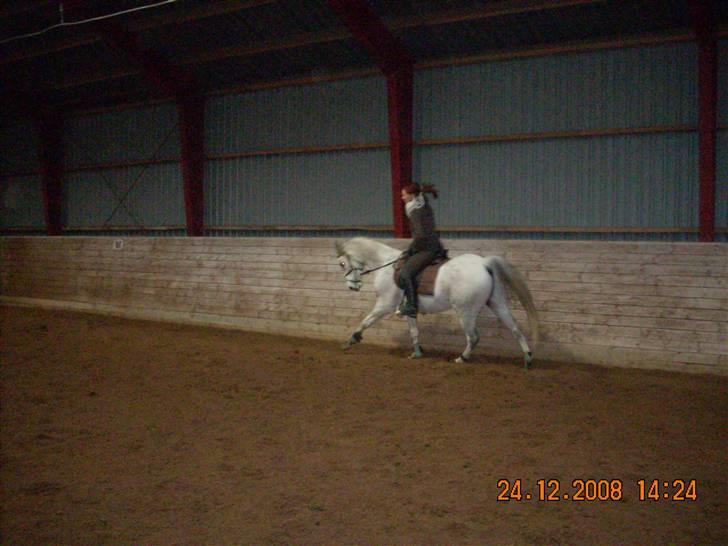 Sportsaraber (A) Cliff Galivant  billede 10