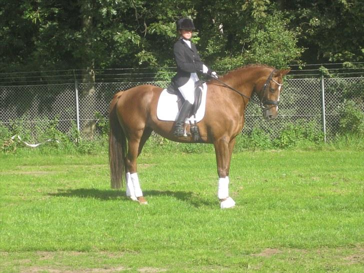 Anden særlig race Daisy - Daisy og Heidi den 5. Sep. 2010 billede 12