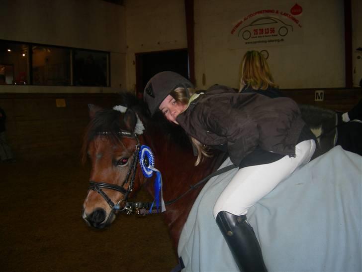 Welsh Mountain (sec A) Mr. Morgan - Morgan til præmieoverrekelse ... Fotograf: Mig billede 20