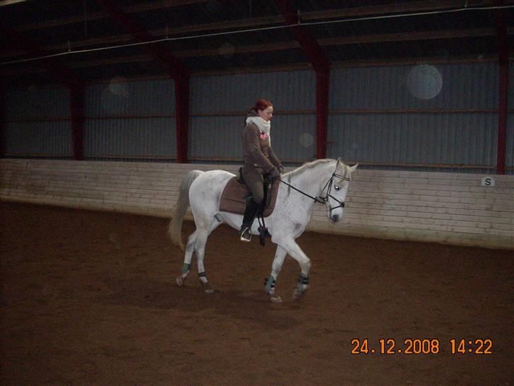 Sportsaraber (A) Cliff Galivant  billede 11