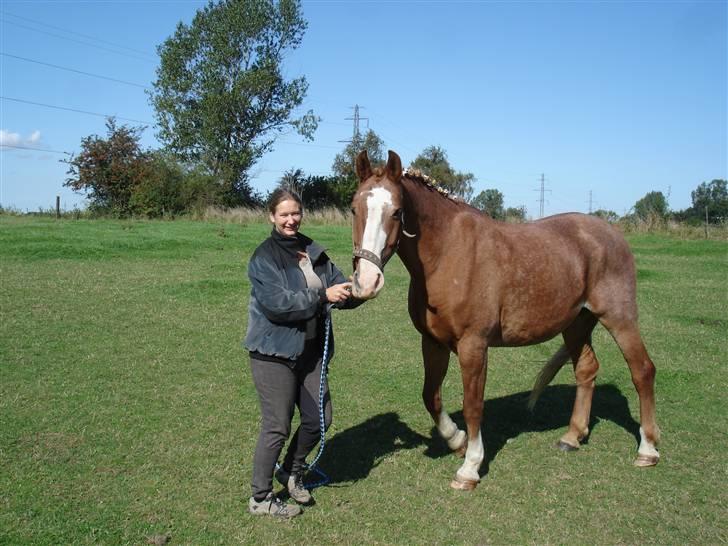 Frederiksborg Mads (rip) billede 6