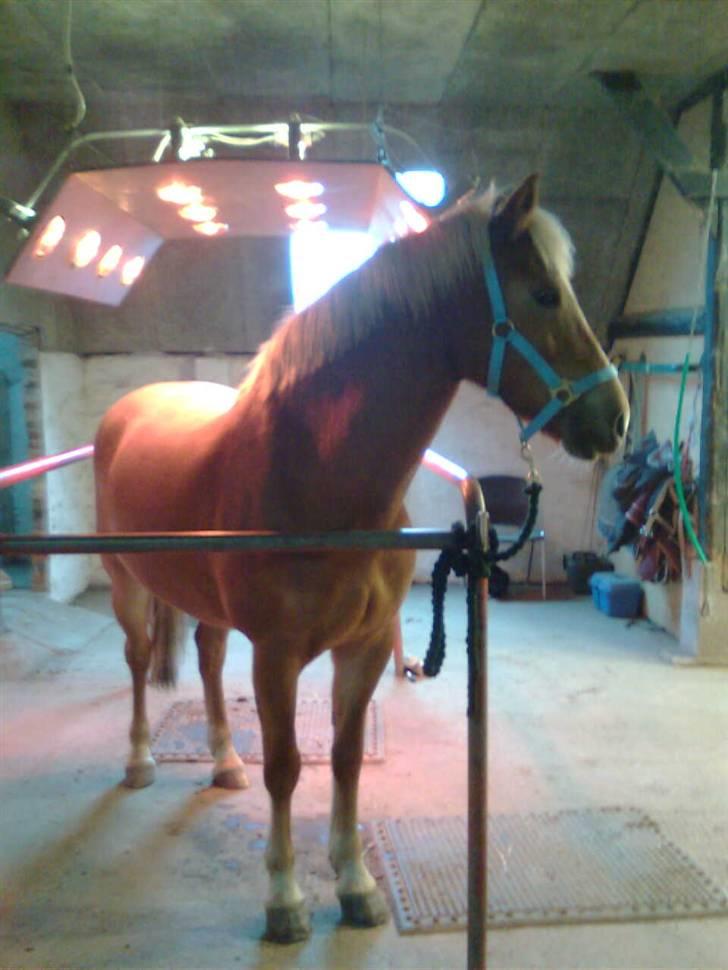 DSP Fina De Robinson. <3SOLGT - Fina nyder at være i solarium ;D <3 billede 16