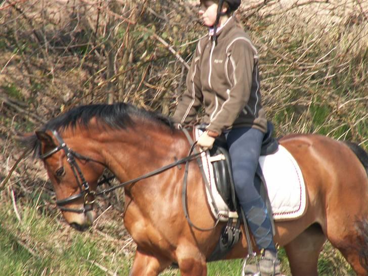 DSP Manilla M solgt - kan vi bare stå fint eller hvad?! billede 2