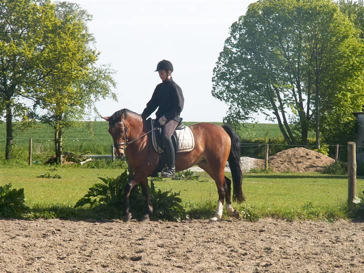 DSP Manilla M solgt - Min lille prinsesse og mig<33 billede 4