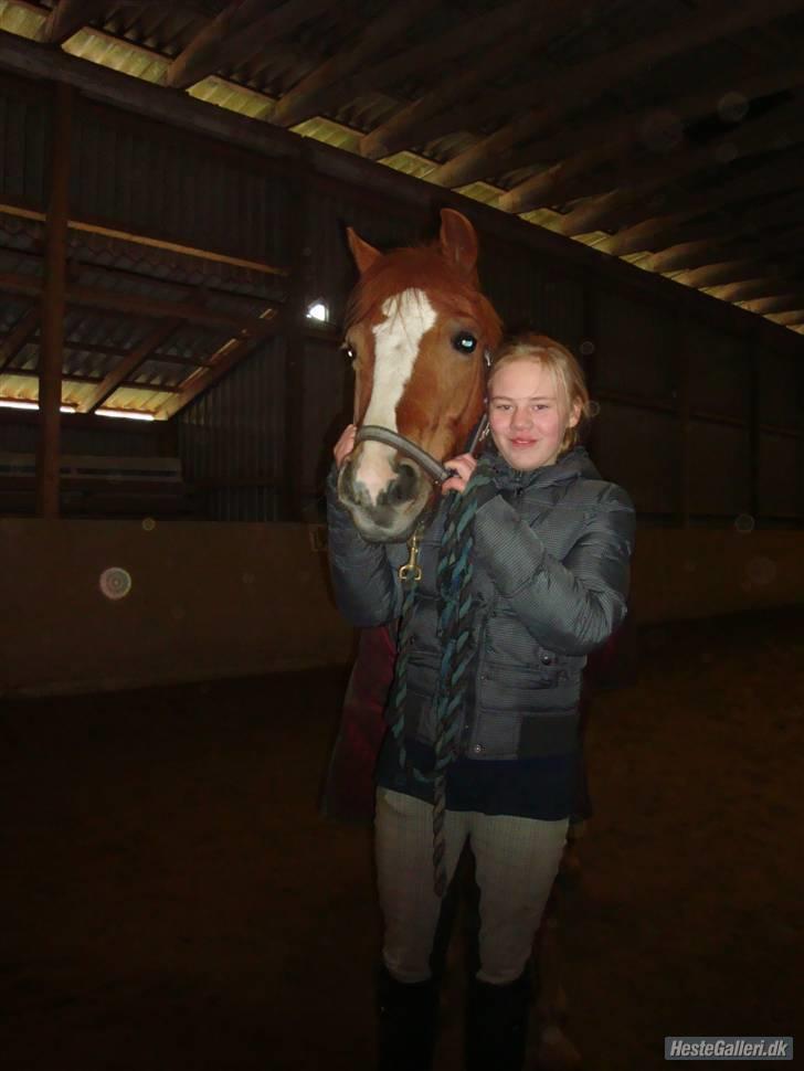 Anden særlig race o´malley<3<3 (miss you)  - velkommen til o´malley´s profil:--) billede 1