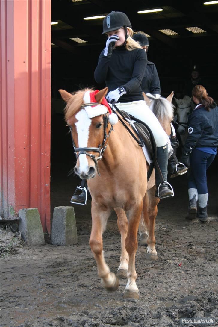 Anden særlig race o´malley<3<3 (miss you)  - jaa nu er jeg i jule humør billede 2