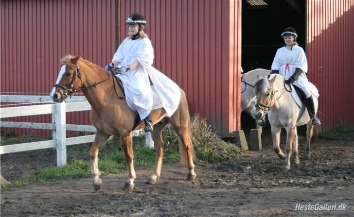 Anden særlig race o´malley<3<3 (miss you)  billede 3