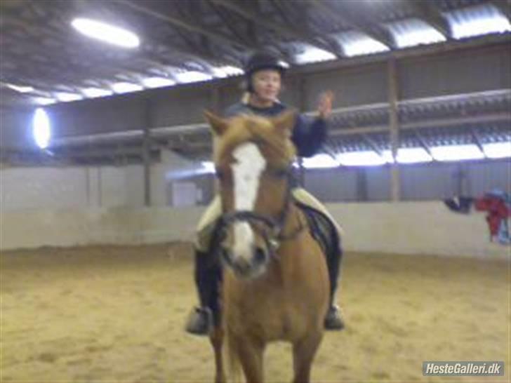 Anden særlig race o´malley<3<3 (miss you)  billede 4