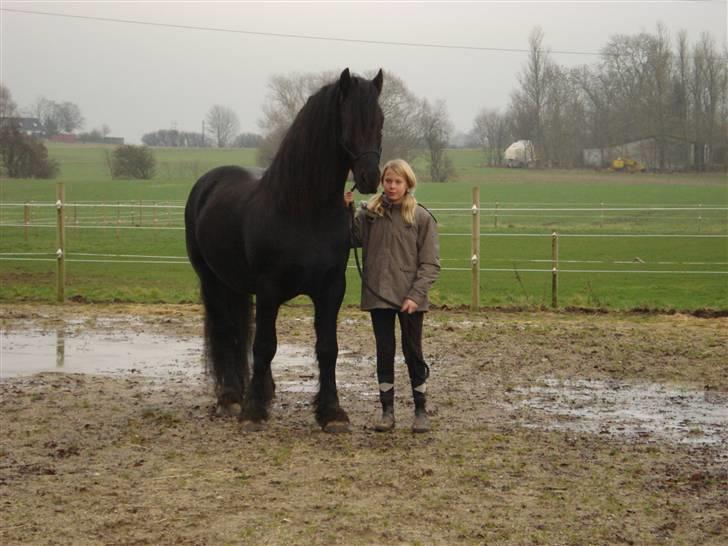 Frieser Wander ***SOLGT*** - Catarina og Wander i horsemanship-humør billede 8