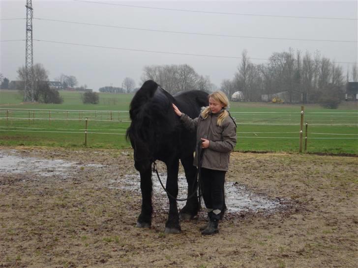 Frieser Wander ***SOLGT*** - Wander nyder Catarinas opmærksomhed billede 9