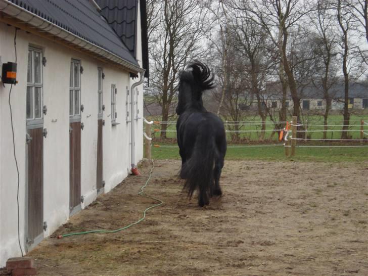 Frieser Wander ***SOLGT*** - Wander er med på punk-moden  billede 11