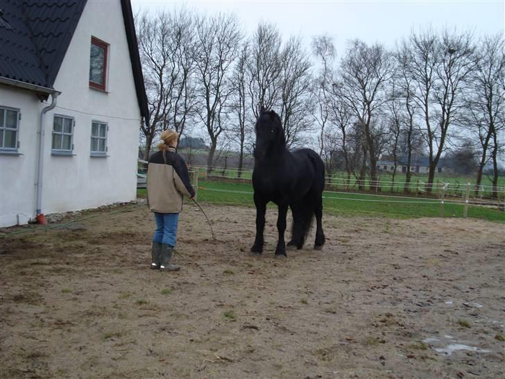 Frieser Wander ***SOLGT*** - Liberty-træning - skønt... billede 13