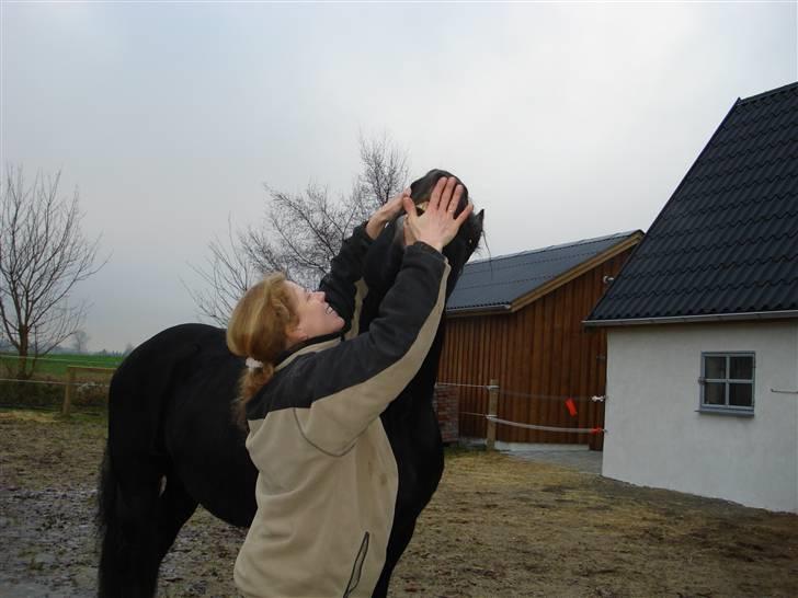 Frieser Wander ***SOLGT*** - Vi reklamere for tandplejen billede 16