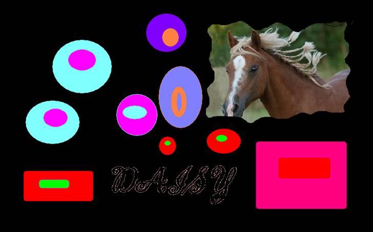 Welsh Mountain (sec A) Min søde pony Daisypigen - Daisy i "paint" billede 2