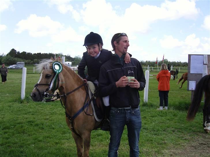Welsh Pony af Cob-type (sec C) Simba b.b. - miig til første stævne  Dennis ride-lære 3 plads<<333 billede 8