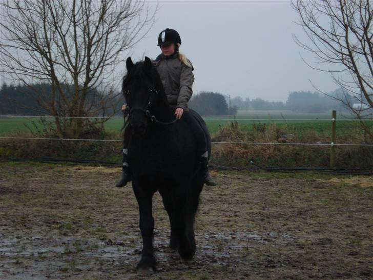 Frieser Wander ***SOLGT*** - Er de ikke bare et super smukt par??? billede 18