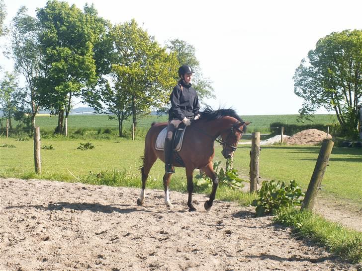 DSP Manilla M solgt billede 5