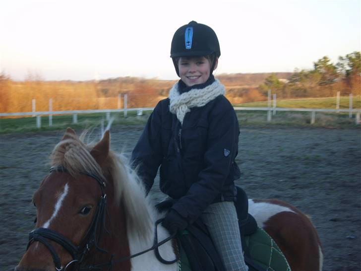 Anden særlig race C-mol  - træning på banen efteråret 2009 billede 9