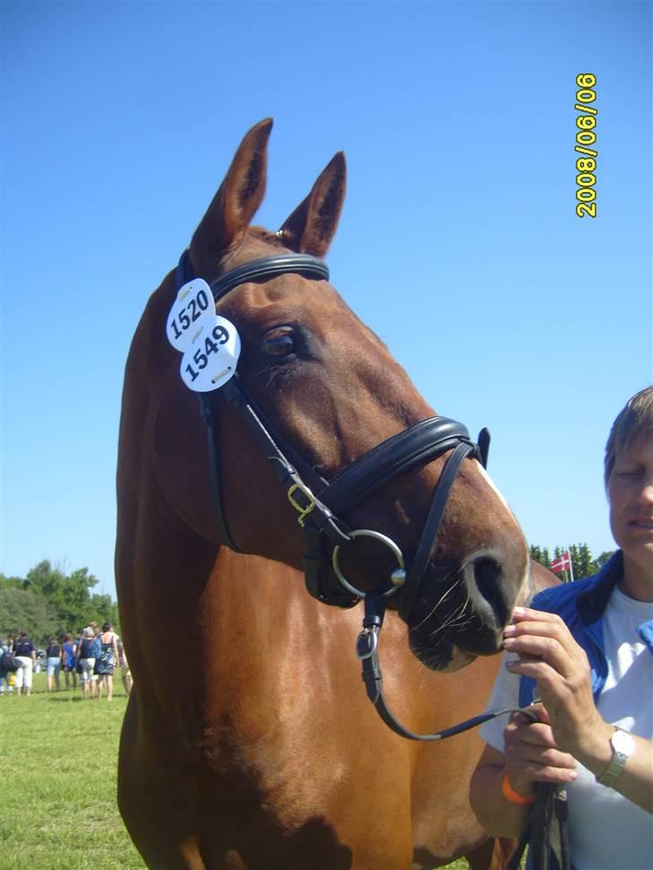 Frederiksborg Taizi brentedal - velkommen til Tazis profil billede 1