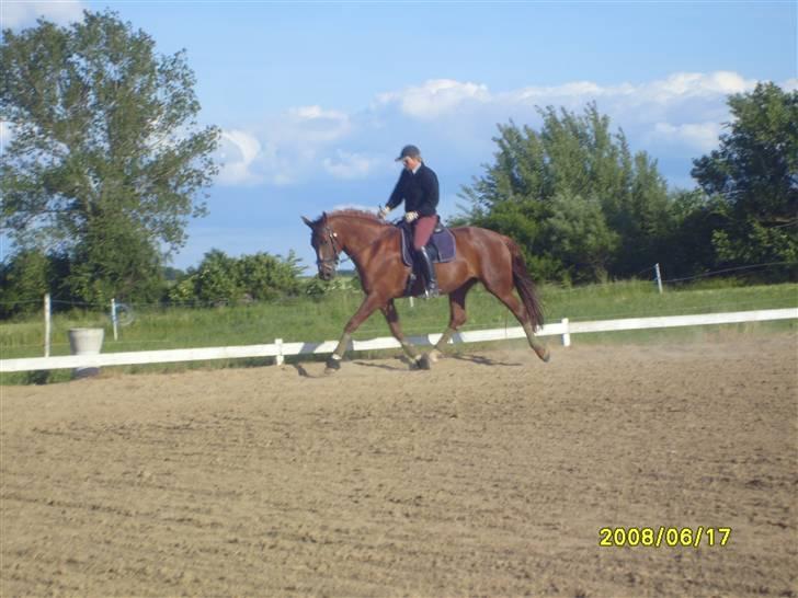 Frederiksborg Taizi brentedal - Trænning hjemme billede 6