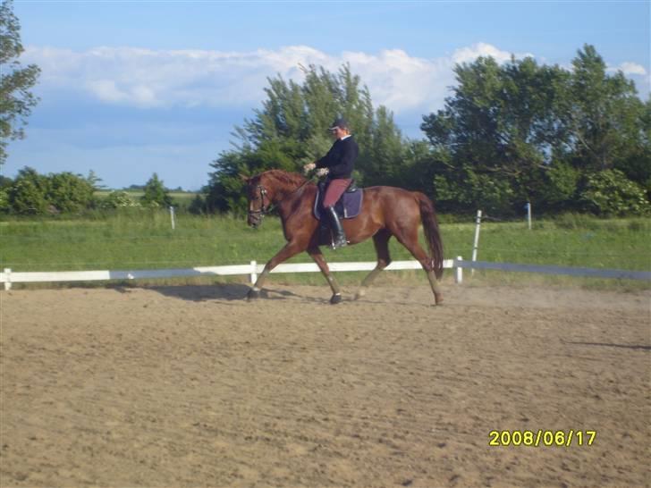 Frederiksborg Taizi brentedal - Trænning hjemme billede 8