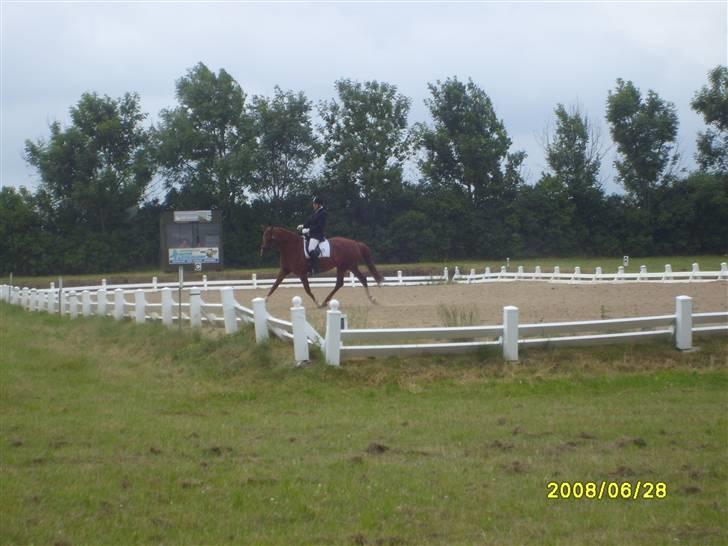 Frederiksborg Taizi brentedal - Stævne på Tnkr billede 9