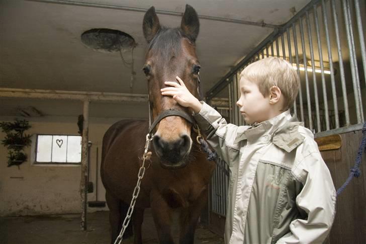 New Forest /Pinto   Celine -  Cille  - Julen 06 . Celine sammen med min (dengang) lille fætter . :) Foto: Leif Sørensen billede 8