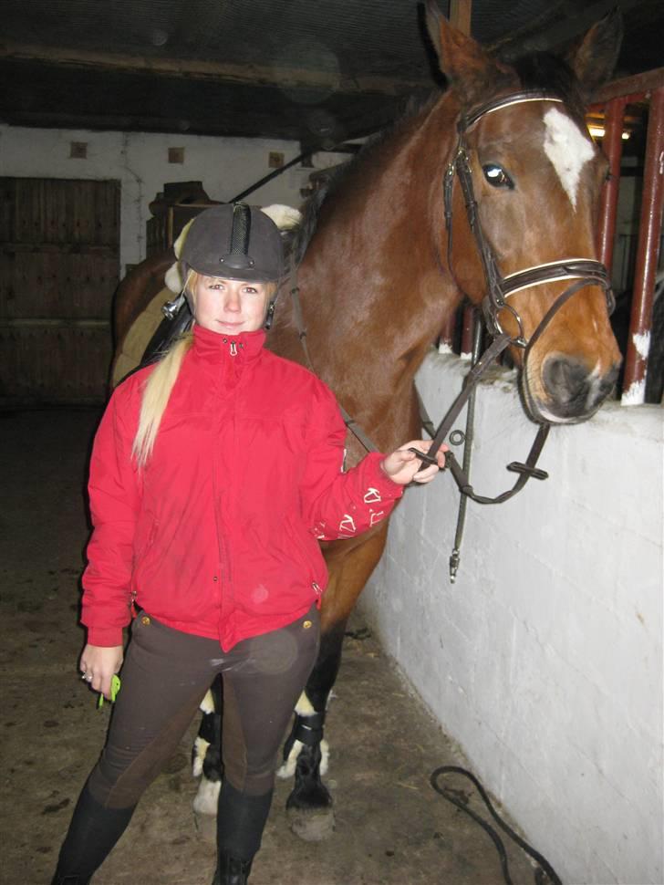 Dansk Varmblod Ghislaine billede 1