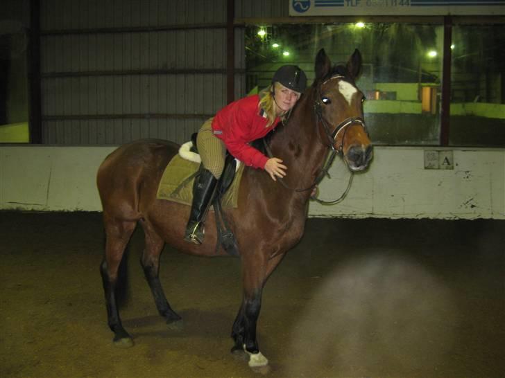 Dansk Varmblod Ghislaine billede 3