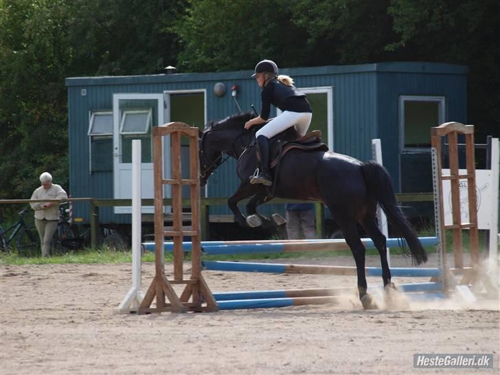 Oldenborg Lille My  - . <3 billede 8