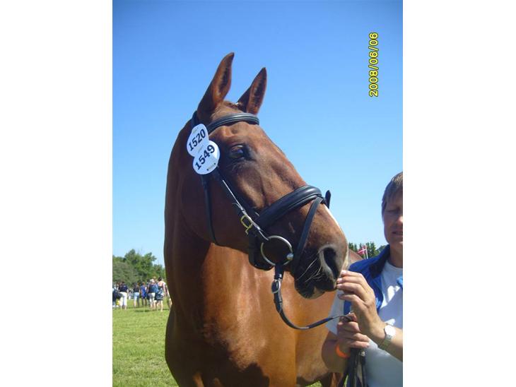 {{currentPhoto.altText}} billede {{currentPhoto.number}}