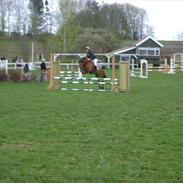 Anden særlig race Rikke<3