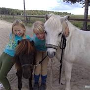 Miniature *Lille Ronja*