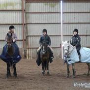 Anden særlig race Savoy (gammel part,død)