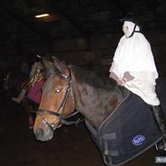 Anden særlig race Savoy (gammel part,død)