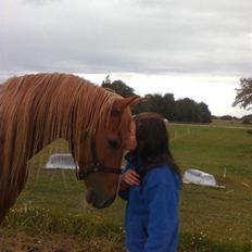 Frederiksborg Lucky Lykkebo 