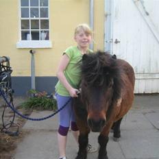 Anden særlig race Claus<3Gammel passerSOLGT