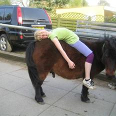 Anden særlig race Claus<3Gammel passerSOLGT