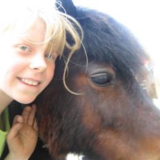 Anden særlig race Claus<3Gammel passerSOLGT