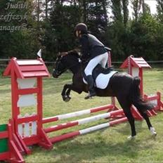 Welsh Pony (sec B) Bjerregaards Valentin (Valle)