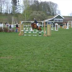 Anden særlig race Rikke<3