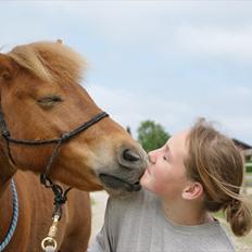 Anden særlig race |Beauty